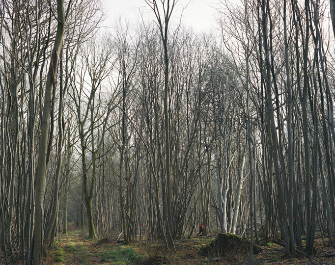 <p><strong>9. La Roche-Guyon, battue dans le bois de la Roche, 2000-2006.</strong><br class='manualbr' />3 exemplaires + 2 épreuves d'artiste<br class='manualbr' />Epreuve d'artiste 1/2 : collection privée<br class='manualbr' />Epreuve pigmentaire sur papier chiffon Hanemühle fine art <br class='manualbr' />Image 95 x 120 cm, talon blanc tournant 3,5 cm, Cadre chêne 102x127</p>