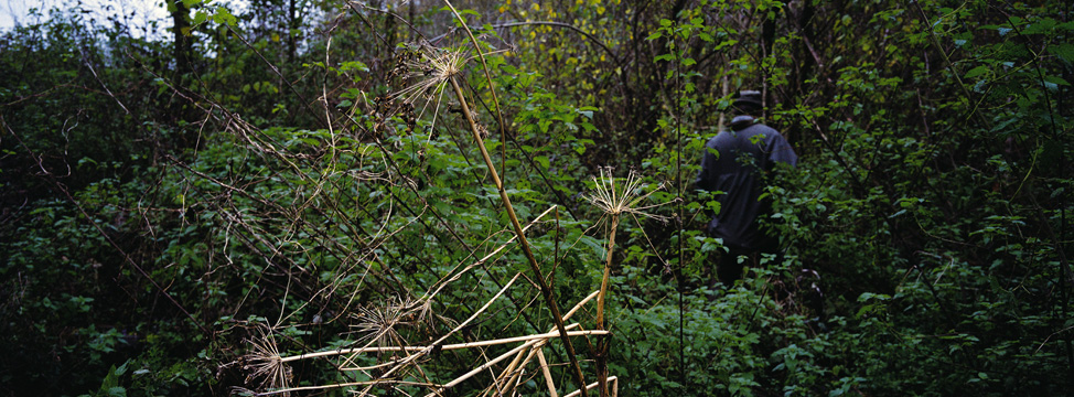 <p><strong>2. Amenucourt, chasseur dans le marais de la Vaussonnière, 1998.</strong> <br class='manualbr' />3 exemplaires + 2 épreuves d'artiste<br class='manualbr' />Exemplaire 1/3 : collection de l'artiste<br class='manualbr' />Epreuve pigmentaire sur papier Baryta Hanemühle fine art <br class='manualbr' />Image 45 x 128 cm, talon blanc tournant 21 cm, Cadre chêne 97 x 170.</p>